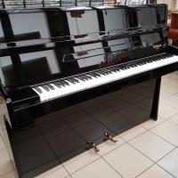 Rameau noir ctg