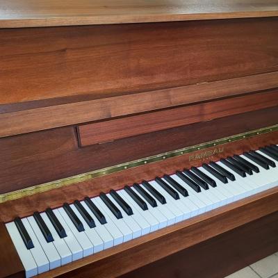 Rameau rama 2