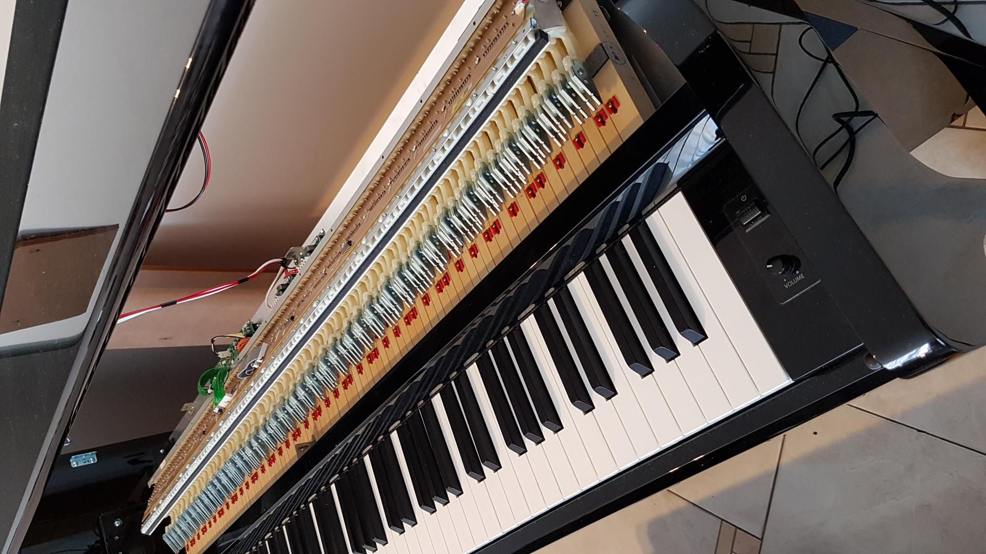 Sav cs11 2