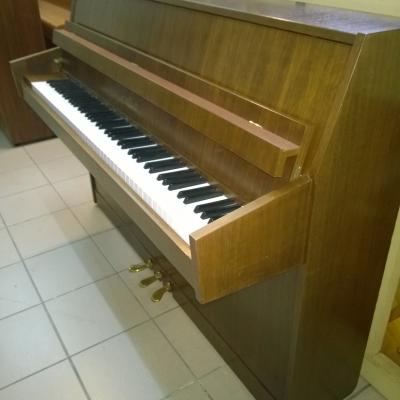 Schimmel 104 fonce