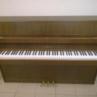 Schimmel 105 noyer