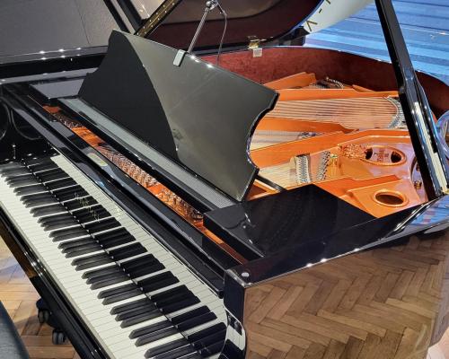 Schimmel 169t
