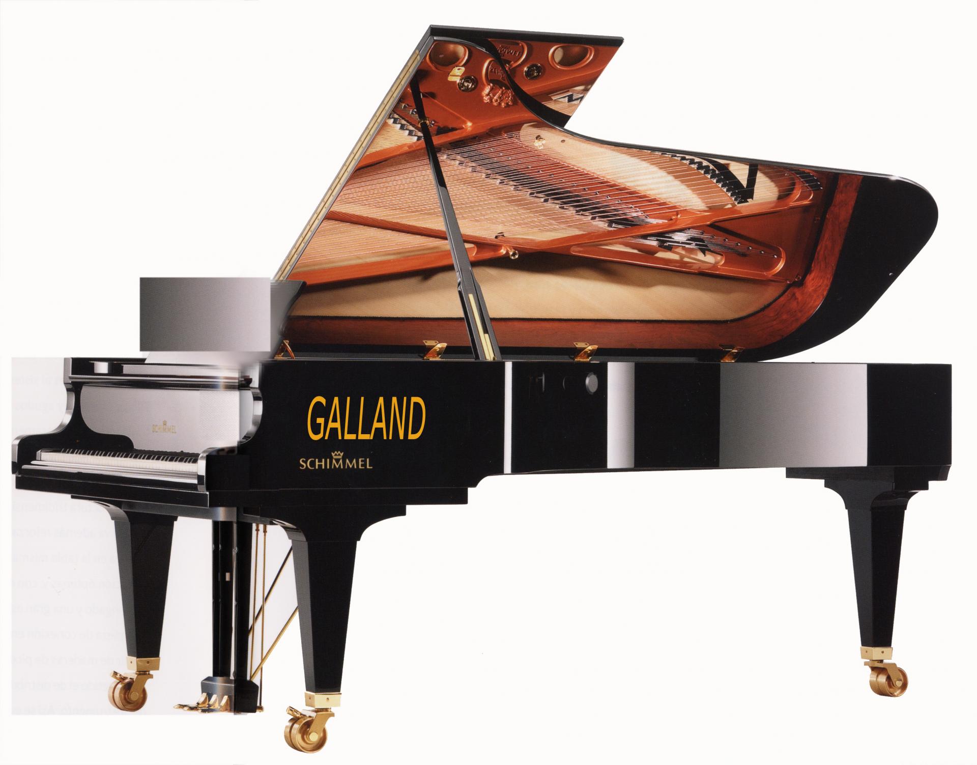 Schimmel 280 copie