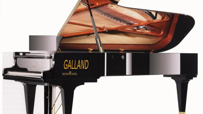 PIANOS à QUEUE