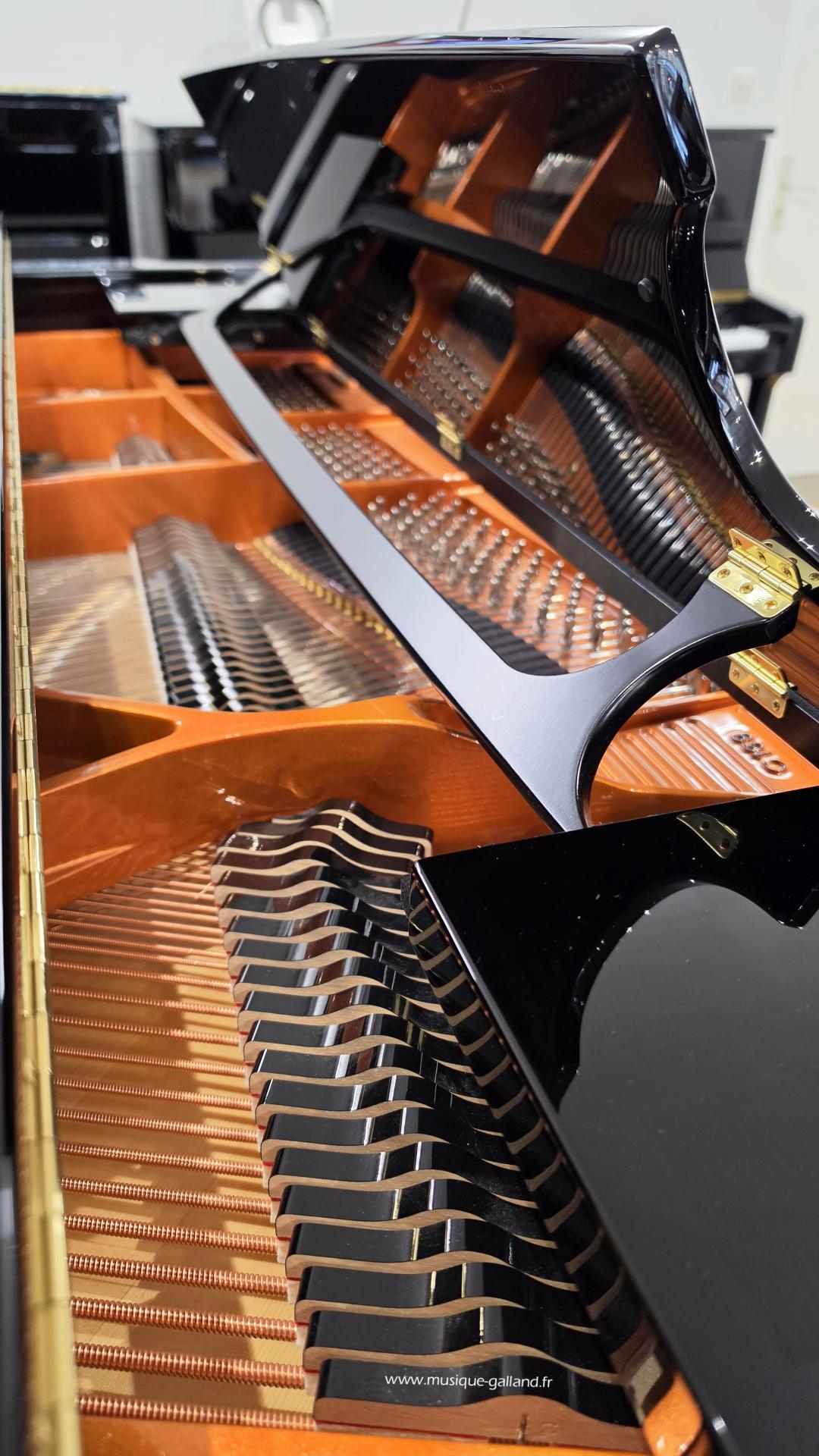 Schimmel c169 1
