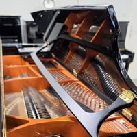 Schimmel c169 1