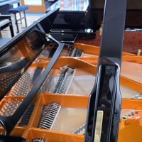 Schimmel c169 3