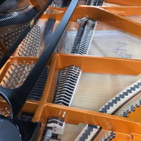 Schimmel c169 4 
