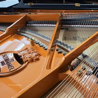 Schimmel c169 5 