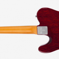 Screenshot 2025 03 26 at 09 51 07 sire larry carlton t7tm sire usa