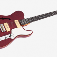 Screenshot 2025 03 26 at 09 51 12 sire larry carlton t7tm sire usa