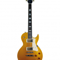 Screenshot 2025 05 03 at 15 59 54 guitare cort cr200 gold top saico