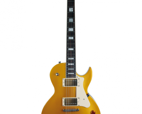 Screenshot 2025 05 03 at 15 59 54 guitare cort cr200 gold top saico