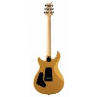 Se ce24 standard satin metallic gold2