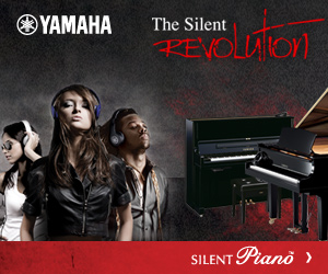 Silent 300x250