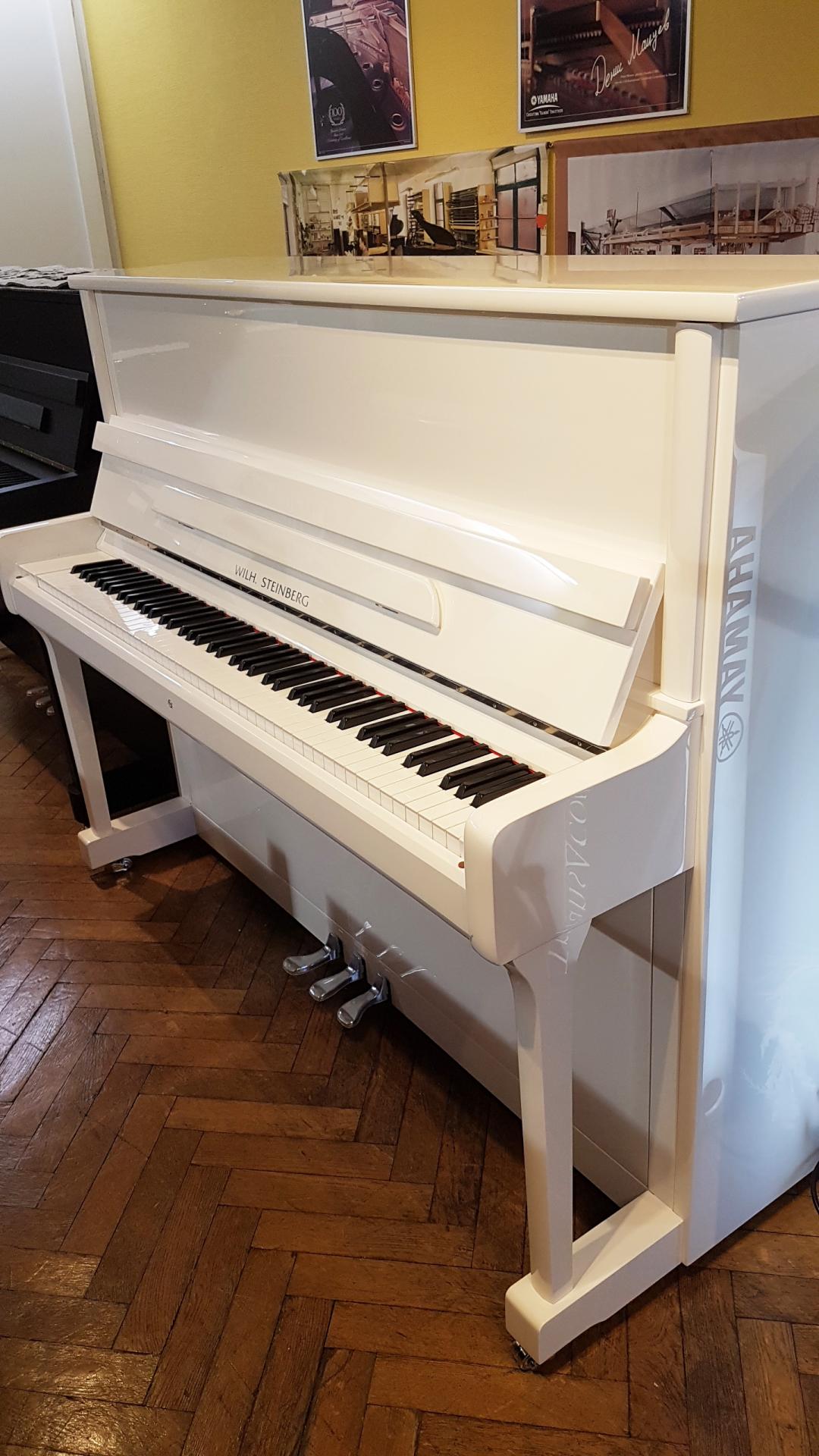 Steinberg 118 blanc 1