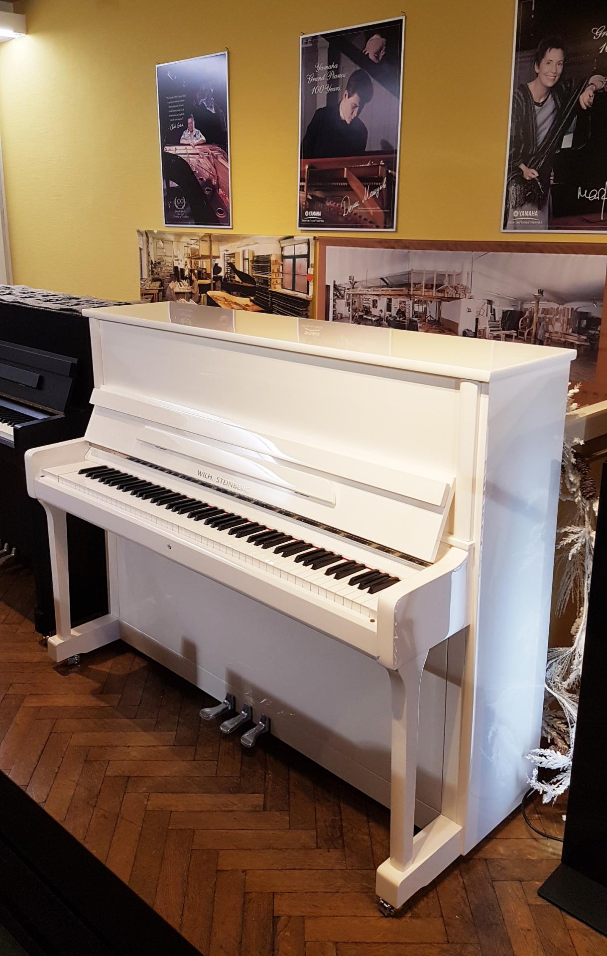 Steinberg 118 blanc 2