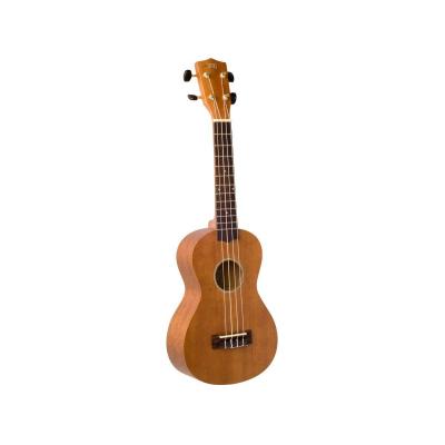 Wiki uk20ce ukulele electro concert