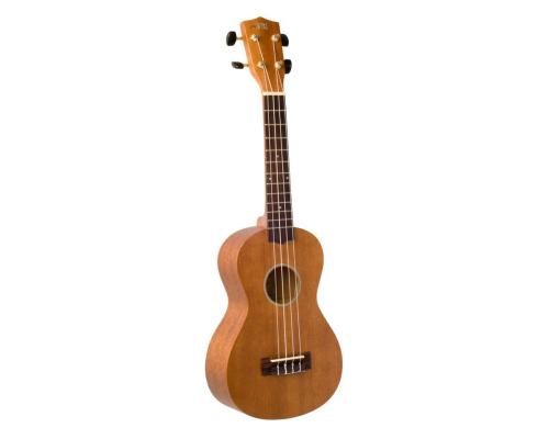 Wiki uk20ce ukulele electro concert 