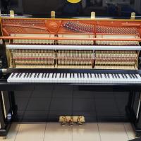 Wznd lung mecanique 2
