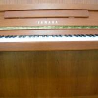 Yamaha b1 merisier 2 