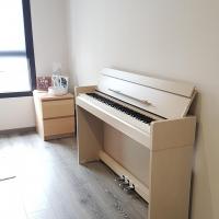 YDP-S34WA