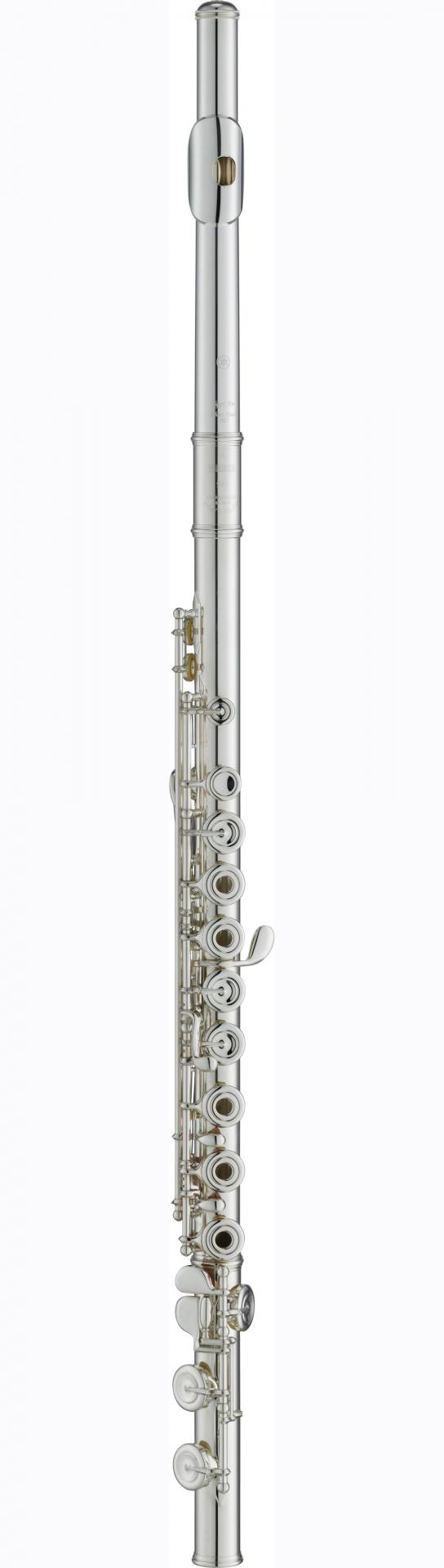 Yfl587