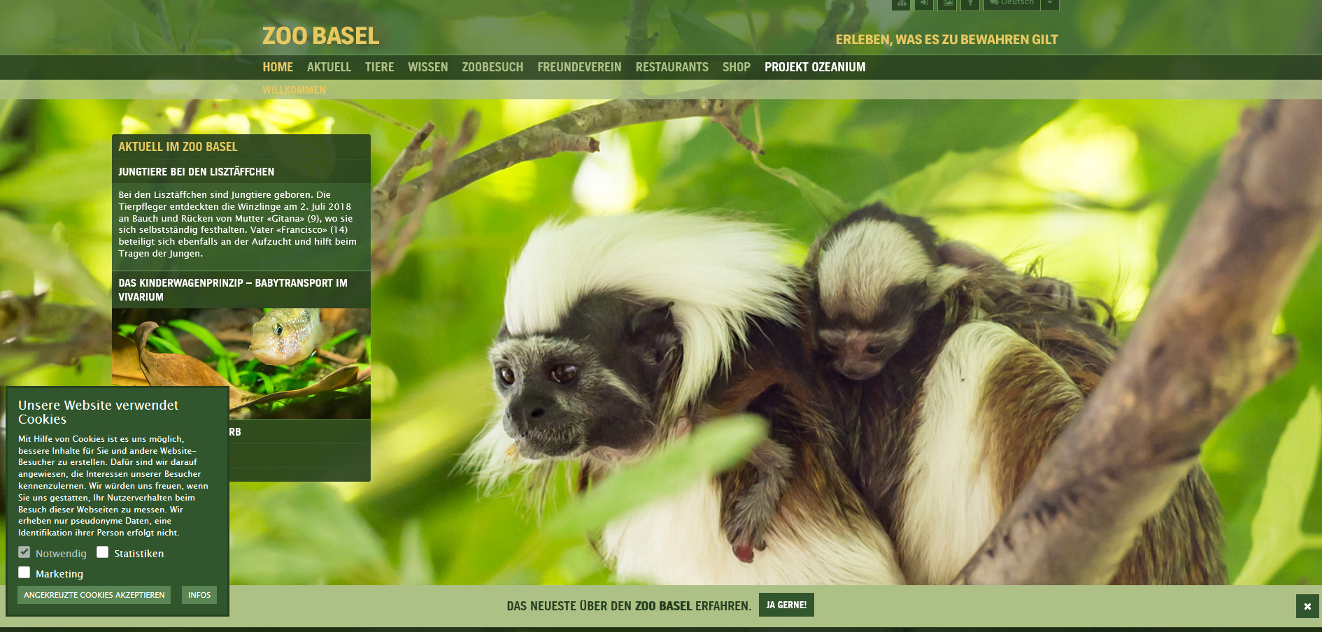 ZOO de BALE ( Suisse )